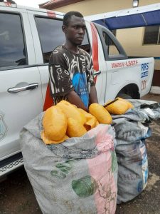 police intercept illicit drugs worth N3m